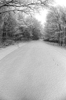 Marcher là où nul autre n'a marché_5335764567_l.jpg